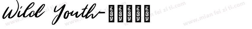 Wild Youth字体转换